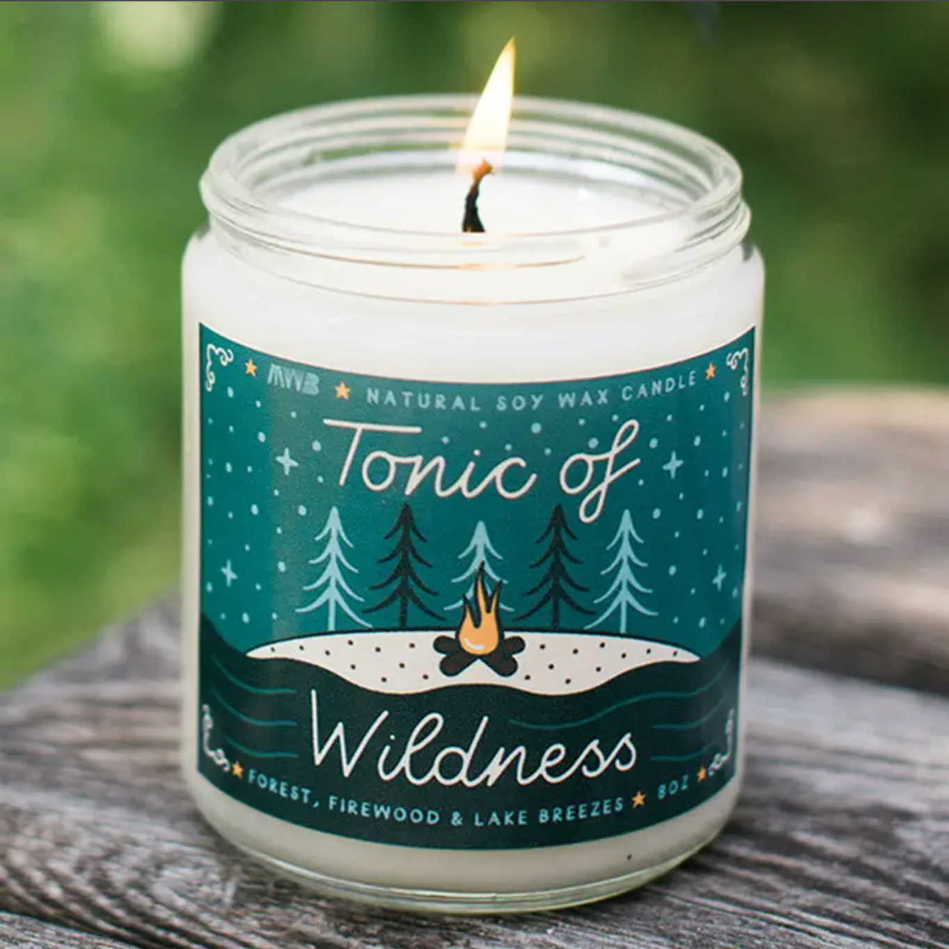 tonic of wildness soy candle