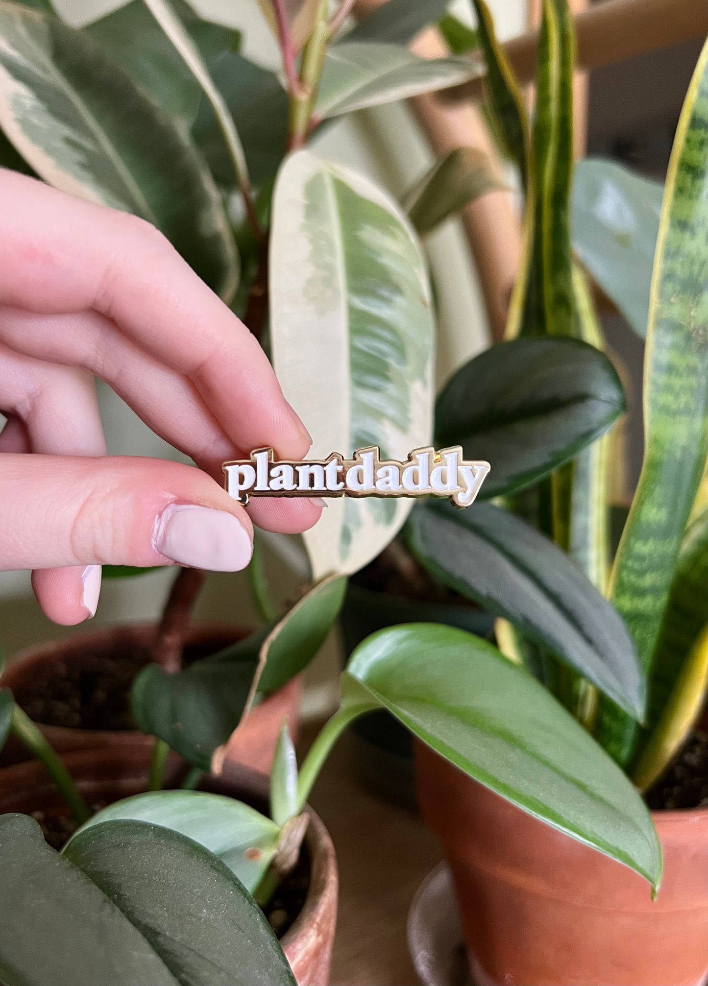 plant daddy enamel pin