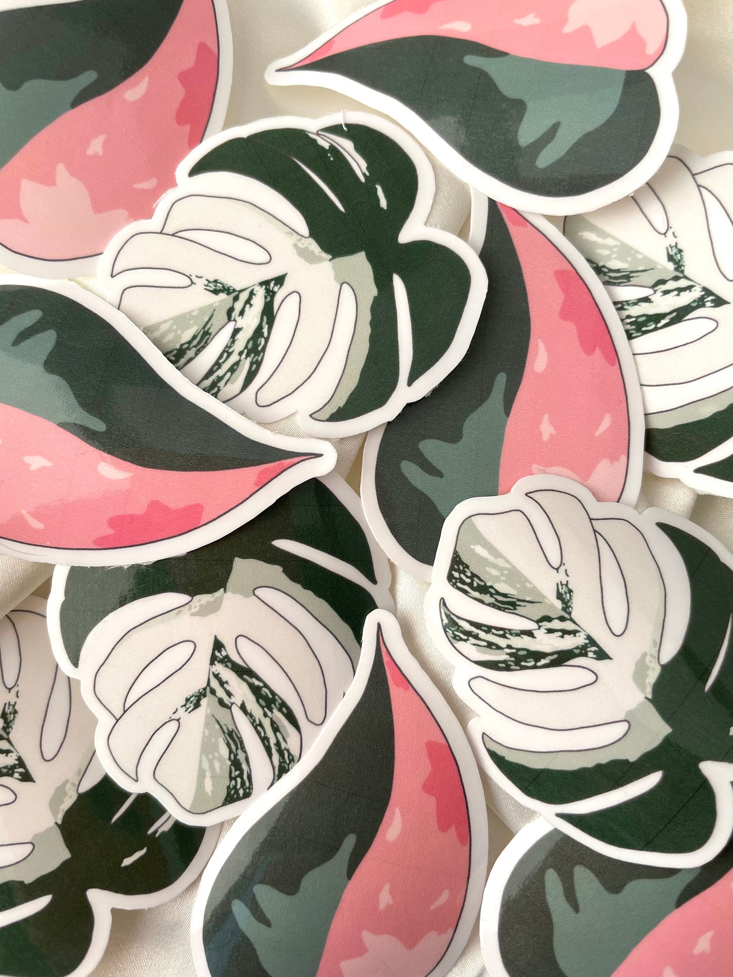 albo monstera sticker