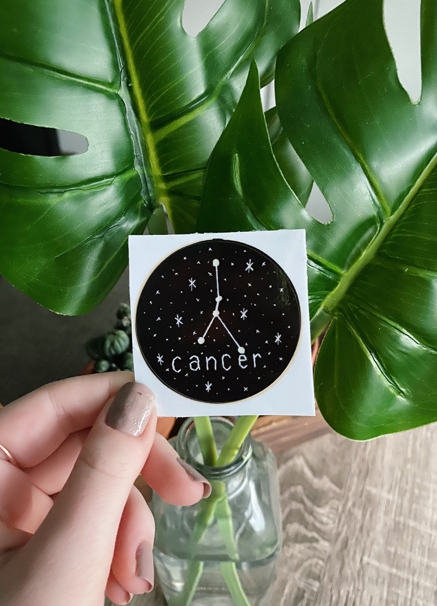 zodiac constellation embroidery sticker