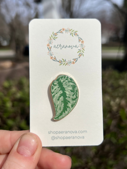 scindapsus enamel pin