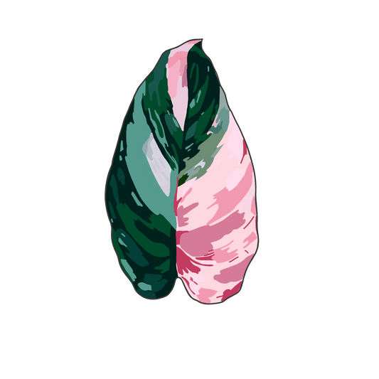 pink princess philodendron enamel pin