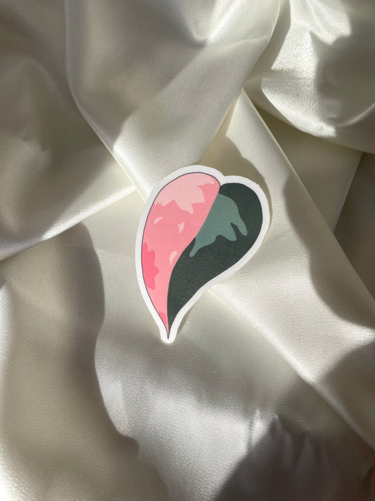 pink princess philodendron sticker