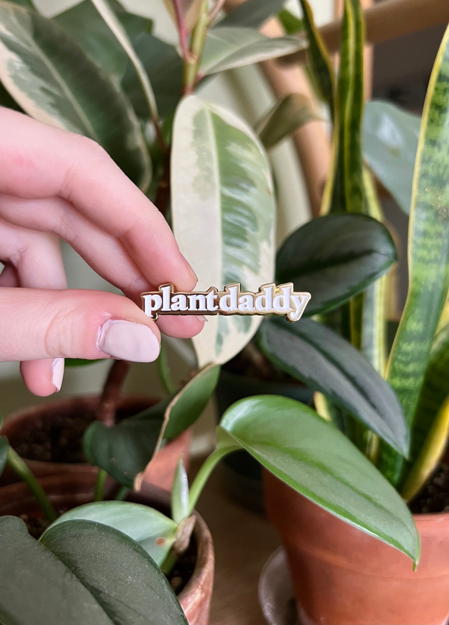 plant daddy enamel pin