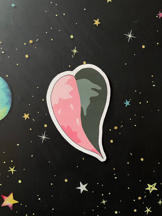 pink princess philodendron sticker